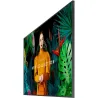 Samsung 55" QB55C UHD 350 NITS 16/7 SOC WIFI