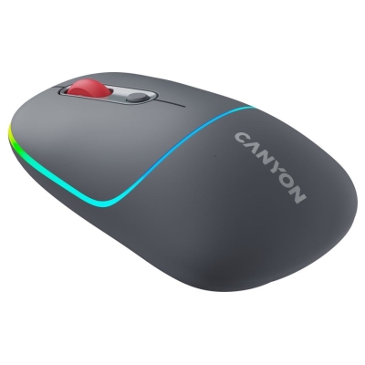Canyon mouse MW-22 2in1 BT/ Wireless Dark Grey