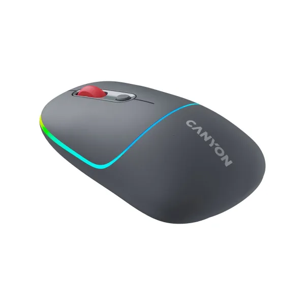 Canyon mouse MW-22 2in1 BT/ Wireless Dark Grey