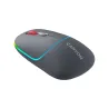 Canyon mouse MW-22 2in1 BT/ Wireless Dark Grey