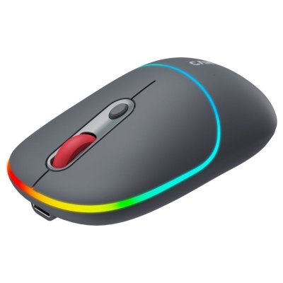 Canyon mouse MW-22 2in1 BT/ Wireless Dark Grey