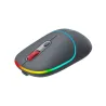 Canyon mouse MW-22 2in1 BT/ Wireless Dark Grey