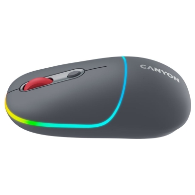 Canyon mouse MW-22 2in1 BT/ Wireless Dark Grey