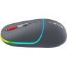 Canyon mouse MW-22 2in1 BT/ Wireless Dark Grey