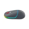 Canyon mouse MW-22 2in1 BT/ Wireless Dark Grey