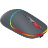 Canyon mouse MW-22 2in1 BT/ Wireless Dark Grey