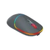 Canyon mouse MW-22 2in1 BT/ Wireless Dark Grey