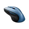 Canyon mouse MW-01 BlueLED Wireless Blue Grey