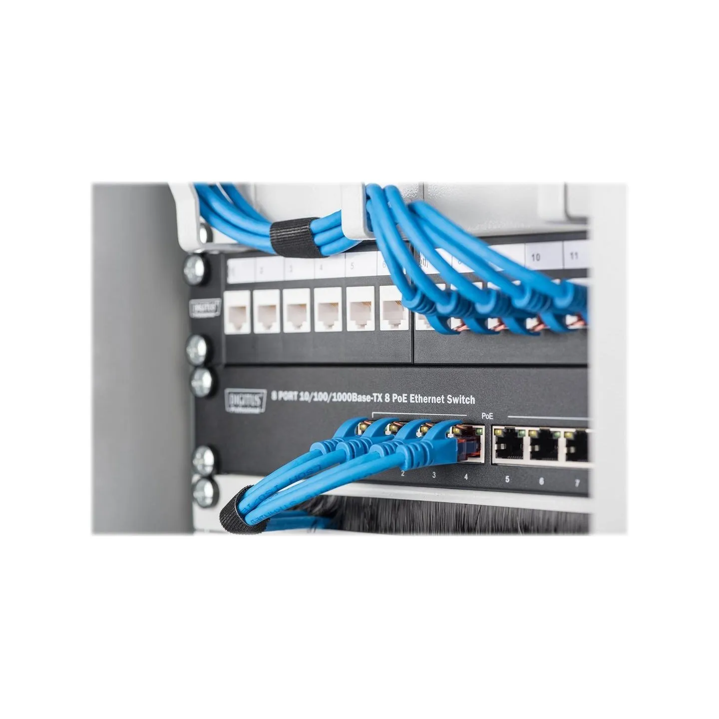 Digitus Wall-mounted housing 254 mm (10") | DN-10-09U | 31.2 x 30 cm | Grey