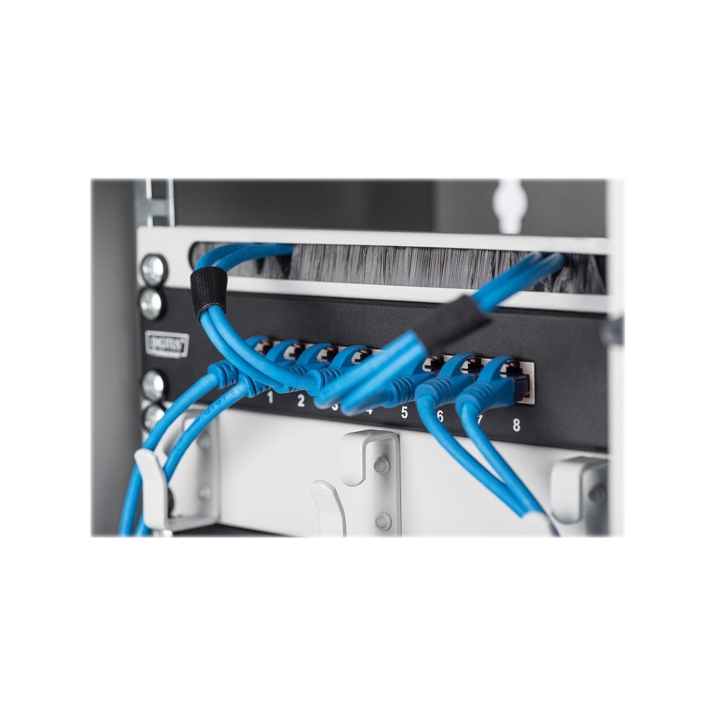 Digitus Wall-mounted housing 254 mm (10") | DN-10-09U | 31.2 x 30 cm | Grey