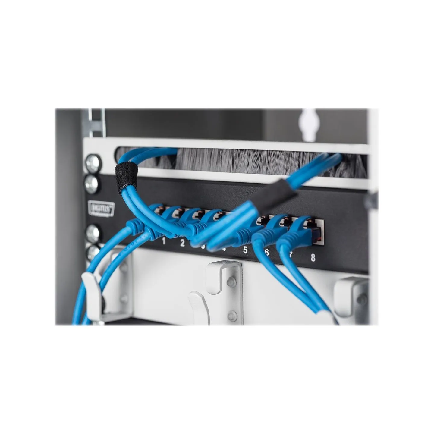 Digitus Wall-mounted housing 254 mm (10") | DN-10-09U | 31.2 x 30 cm | Grey