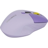 Canyon mouse MW-26 LCD Silent Dual Mode Wireless Violet