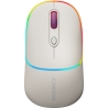Canyon mouse MW-22 2in1 BT/ Wireless Rice