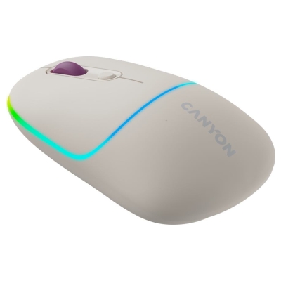 Canyon mouse MW-22 2in1 BT/ Wireless Rice