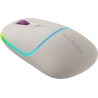 Canyon mouse MW-22 2in1 BT/ Wireless Rice
