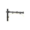 Digitus | Desk Mount | Height adjustment | Black