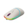 Canyon mouse MW-22 2in1 BT/ Wireless Rice