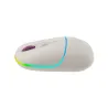 Canyon mouse MW-22 2in1 BT/ Wireless Rice
