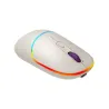 Canyon mouse MW-22 2in1 BT/ Wireless Rice