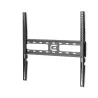 Edbak Wall mount | FSM4040-F Universal | 32-75 " | Maximum weight (capacity) 30 kg | Black