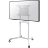 Neomounts NEWSTAR MOBILE FLAT SCREEN FLOOR STAND (HEIGHT: 160 CM) 37-70" WHITE