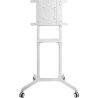 Neomounts NS-M1250 WHITE floor stand 37-70'' 70KG 200x200-600x400