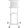 Neomounts NS-M1250 WHITE floor stand 37-70'' 70KG 200x200-600x400