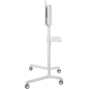 Neomounts NEWSTAR MOBILE FLAT SCREEN FLOOR STAND (HEIGHT: 160 CM) 37-70" WHITE