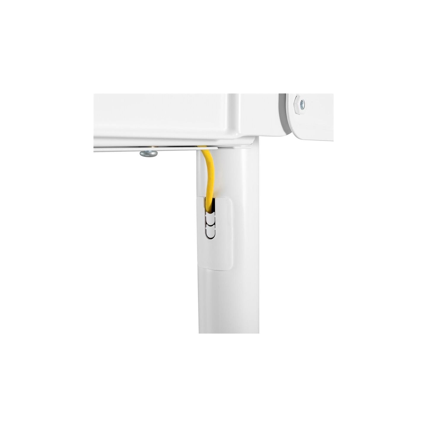 Neomounts NEWSTAR MOBILE FLAT SCREEN FLOOR STAND (HEIGHT: 160 CM) 37-70" WHITE