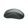 Canyon MW-11, 2.4 GHz Wireless mouse,with 3 buttons, DPI 1200, Battery:AAA*2pcs,Black,67*109*38mm,0.063kg