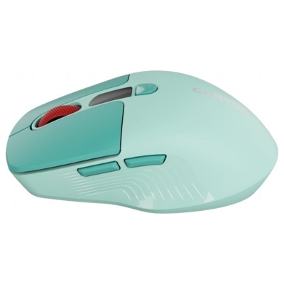 Canyon mouse MW-26 LCD Silent Dual Mode Wireless Green