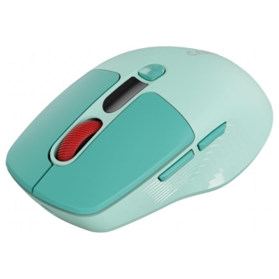 Canyon mouse MW-26 LCD Silent Dual Mode Wireless Green