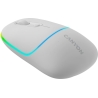 Canyon mouse MW-22 2in1 BT/ Wireless Snow White