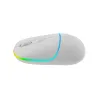 Canyon mouse MW-22 2in1 BT/ Wireless Snow White
