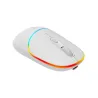 Canyon mouse MW-22 2in1 BT/ Wireless Snow White