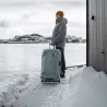 Thule | Check-in Wheeled Suitcase | Chasm | Luggage | Waterproof | Pond Gray