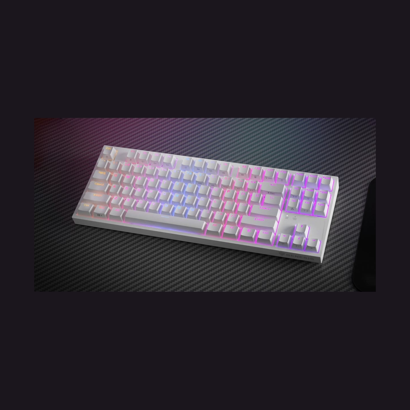 Genesis | THOR 404 TKL | Mechanical Gaming Keyboard | Wired | US | Gateron Yellow Pro | White | RGB
