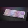 Genesis | THOR 404 TKL | Mechanical Gaming Keyboard | Wired | US | Gateron Yellow Pro | White | RGB