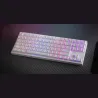 Genesis | THOR 404 TKL | Mechanical Gaming Keyboard | Wired | US | Gateron Yellow Pro | White | RGB