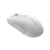 Canyon MW-7, 2.4Ghz wireless mouse, 6 buttons, DPI 800/1200/1600, with 1 AA battery ,size 110*60*37mm,58g,white