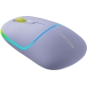 Canyon mouse MW-22 2in1 BT/ Wireless Lavender