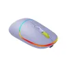 Canyon mouse MW-22 2in1 BT/ Wireless Lavender