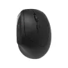 Canyon mouse MW-25 Ergonomic LED AA Dual mode Wireless Black