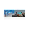 Mercusys MB113-4G | Wireless 4G LTE Portable Router | 802.11n | Ethernet LAN (RJ-45) ports 2 | 300 Mbit/s | Mesh Support No | MU