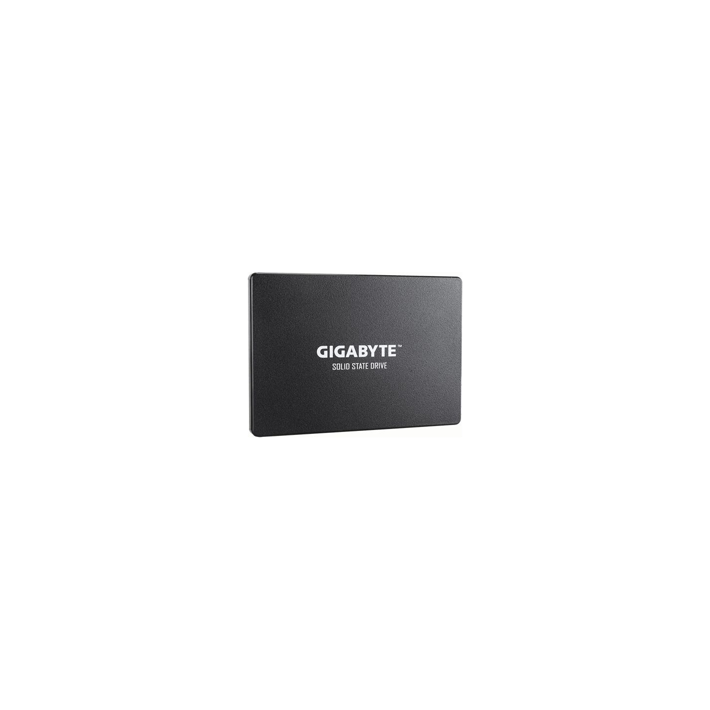 Gigabyte | GP-GSTFS31256GTND | 256 GB | Solid-state drive interface SATA | Read speed 520 MB/s | Write speed 500 MB/s