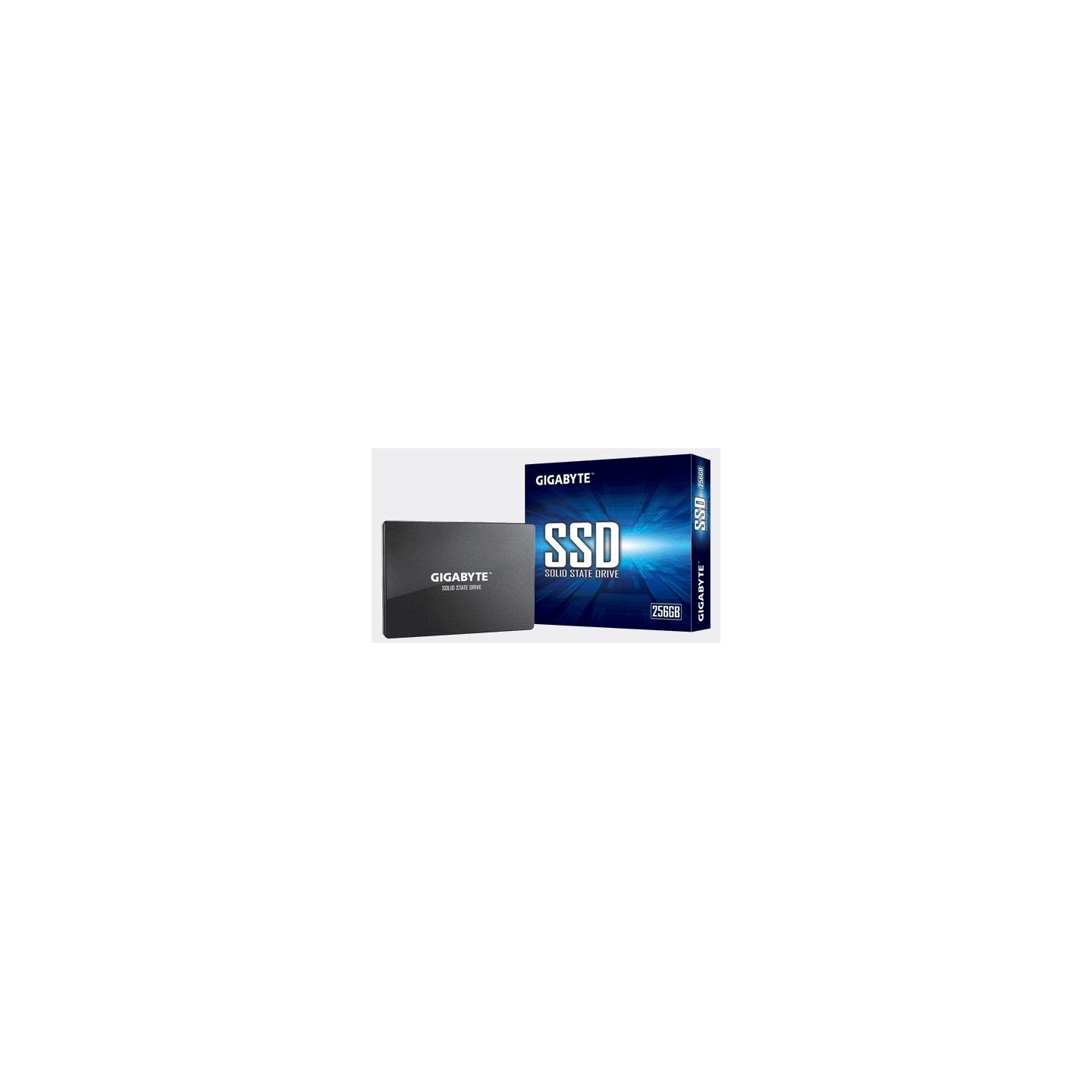 Gigabyte | GP-GSTFS31256GTND | 256 GB | Solid-state drive interface SATA | Read speed 520 MB/s | Write speed 500 MB/s