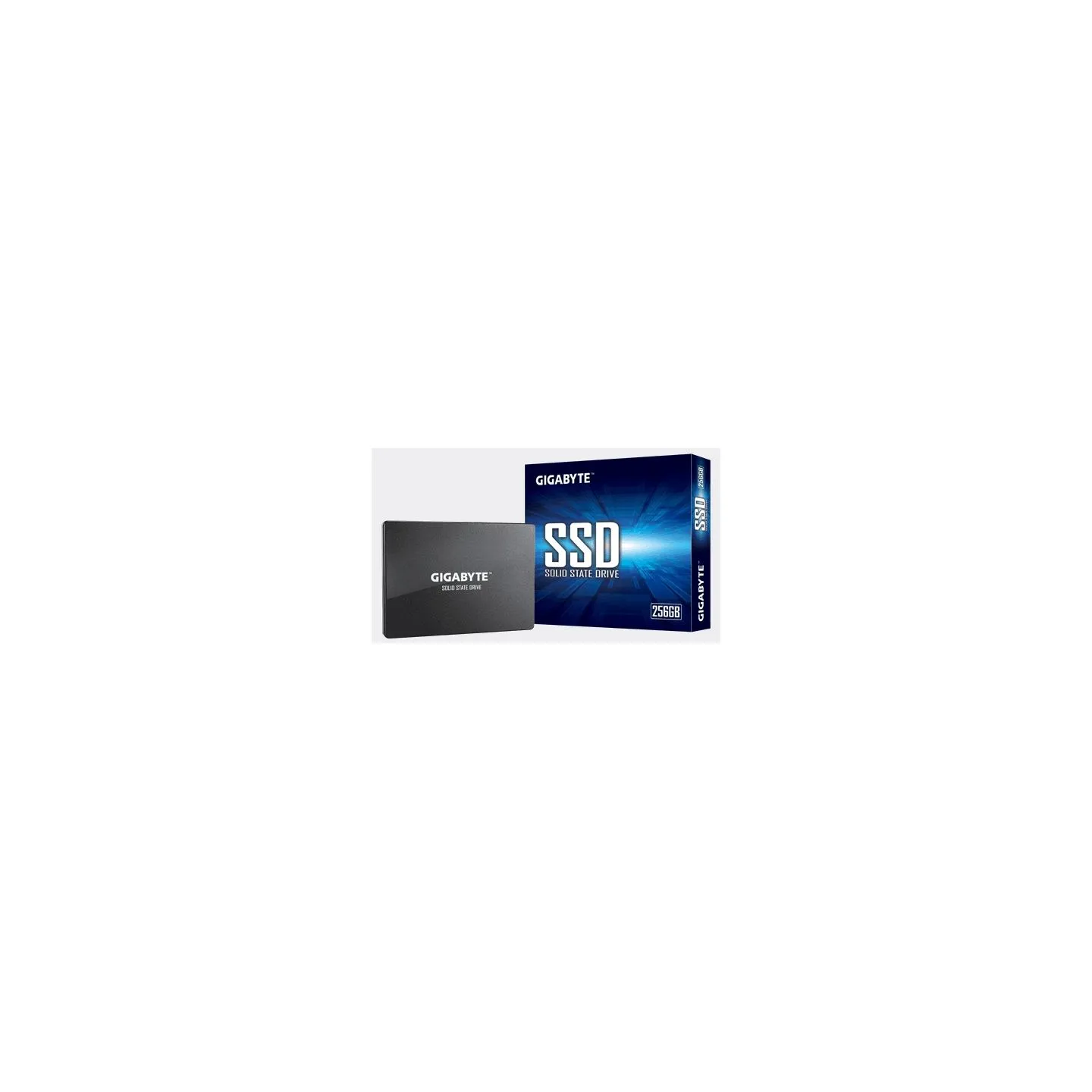 Gigabyte | GP-GSTFS31256GTND | 256 GB | Solid-state drive interface SATA | Read speed 520 MB/s | Write speed 500 MB/s