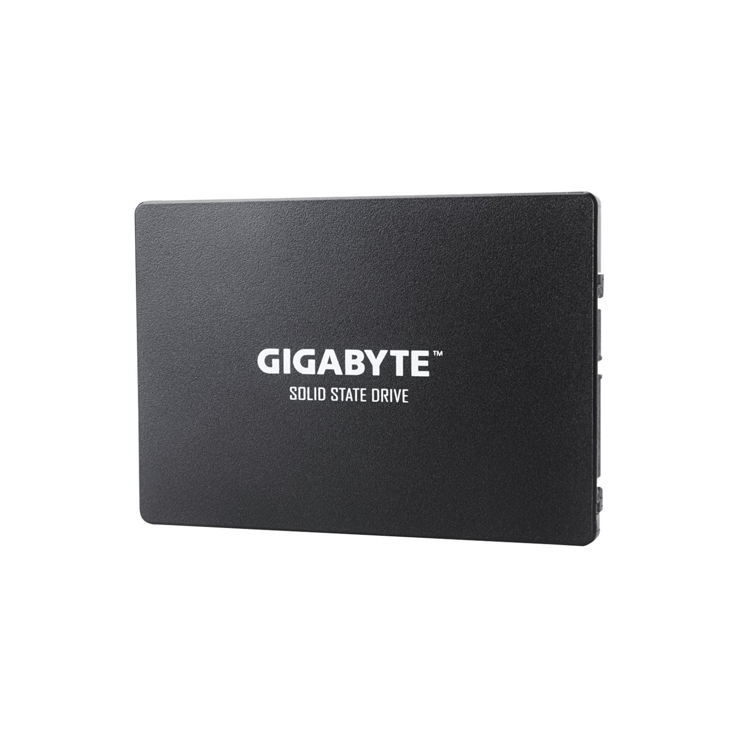 Gigabyte | GP-GSTFS31256GTND | 256 GB | Solid-state drive interface SATA | Read speed 520 MB/s | Write speed 500 MB/s