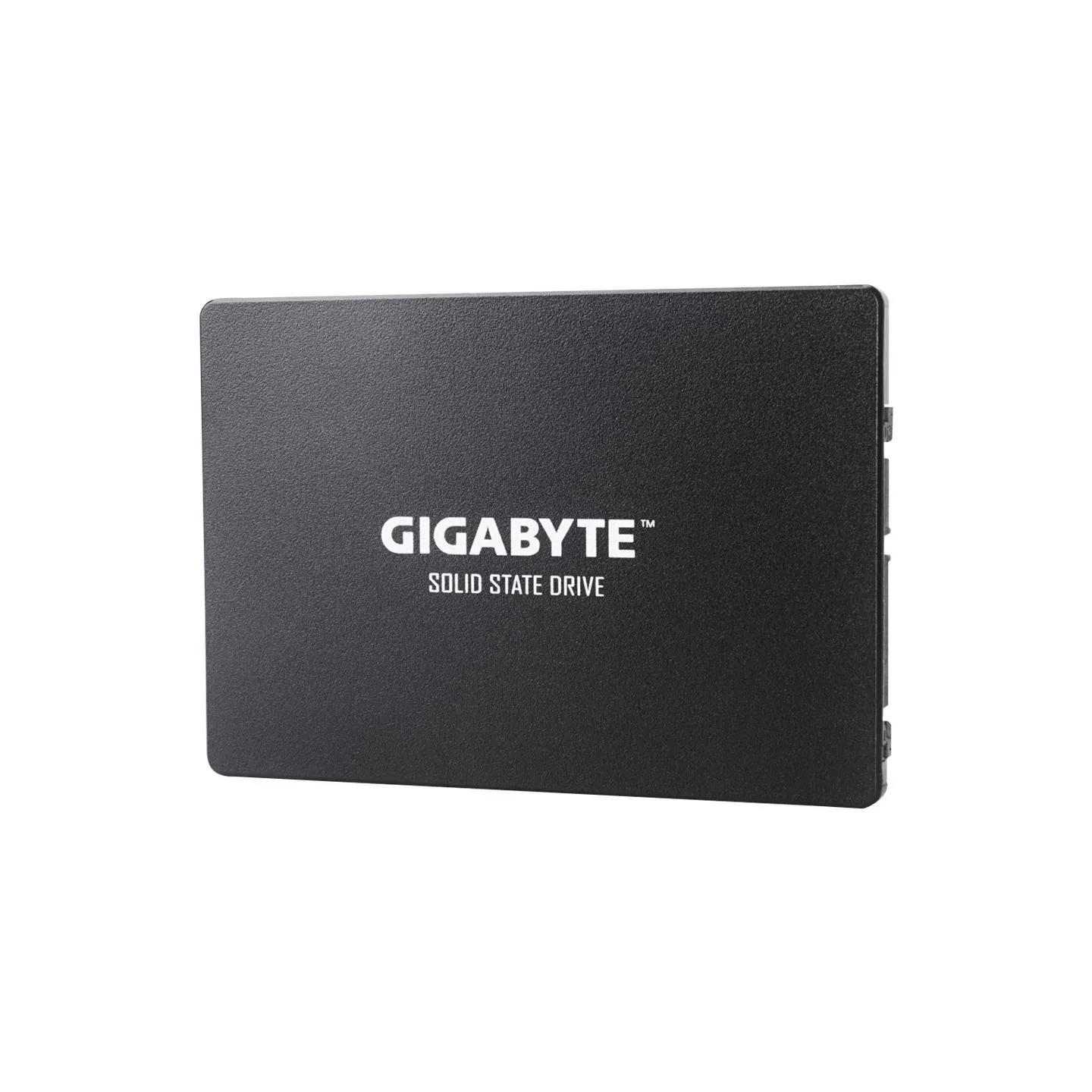 Gigabyte | GP-GSTFS31256GTND | 256 GB | Solid-state drive interface SATA | Read speed 520 MB/s | Write speed 500 MB/s