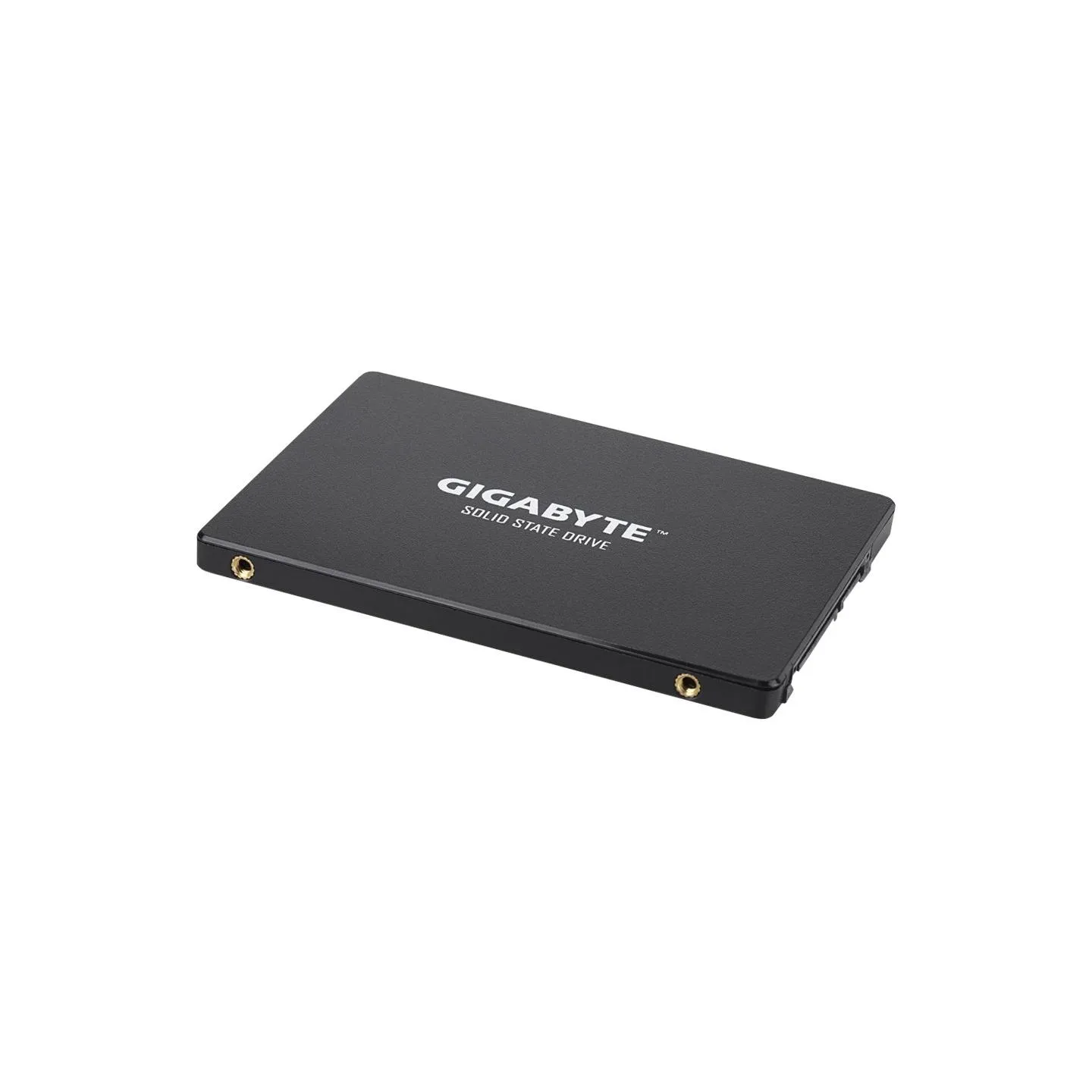 Gigabyte | GP-GSTFS31256GTND | 256 GB | Solid-state drive interface SATA | Read speed 520 MB/s | Write speed 500 MB/s